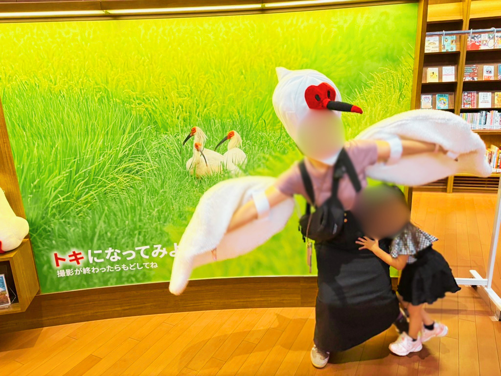 石川県立図書館の展示