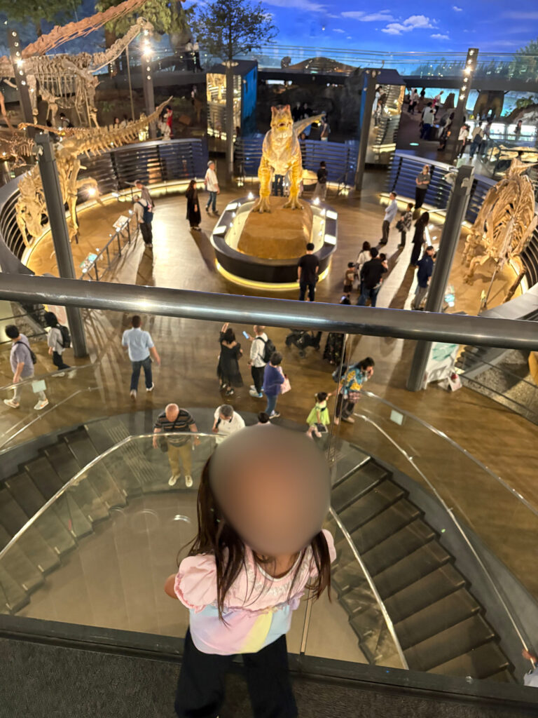 福井県立恐竜博物館の恐竜の展示を見学する女の子